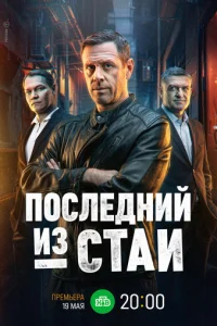 Ո0сvnleldokvjuil1 uʒ сτojku
